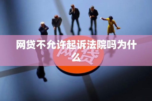 网贷不允许起诉法院吗为什么