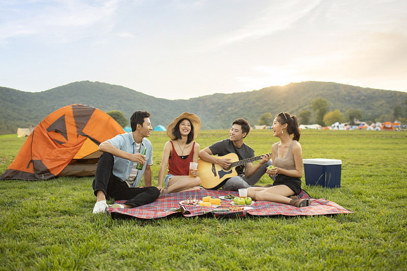 快乐的年轻朋友在户外野餐图片下载