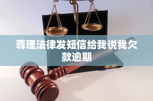 尊理法律发短信给我说我欠款逾期