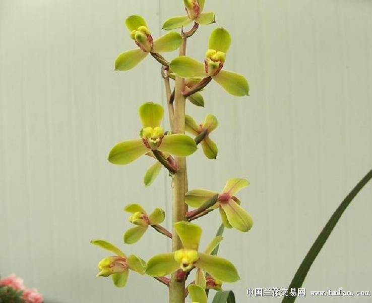 点击图片在新窗口浏览原图