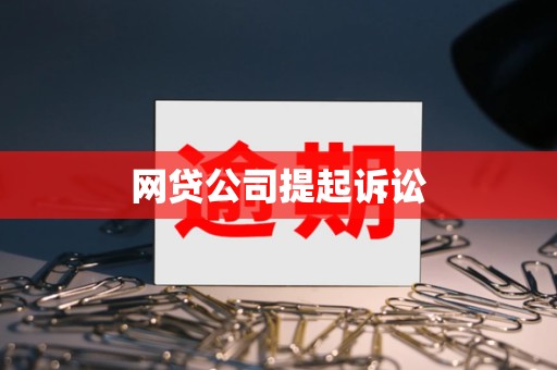 网贷公司提起诉讼