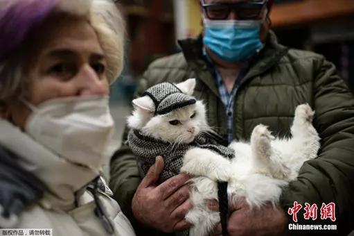 资料图：当地时间1月17日，西班牙潘普洛纳，为了庆祝圣安东尼节，民众带着宠物上教堂参加祈福仪式，接受赐福。