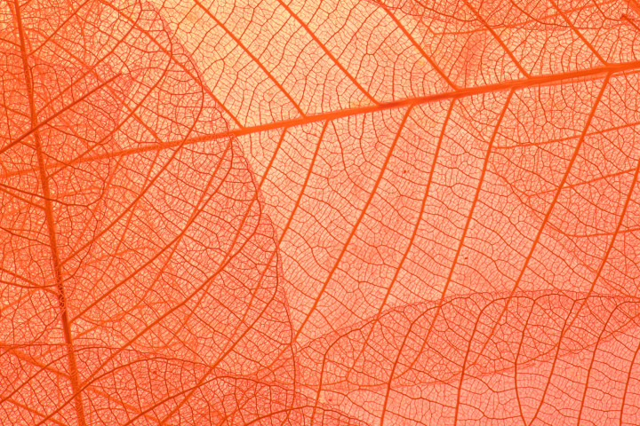 外销收入合同怎么写才有效（外销合同付款条款怎么写）