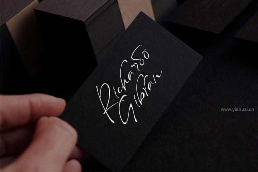 ysz-201139 Maestro-Signaturez10.jpg