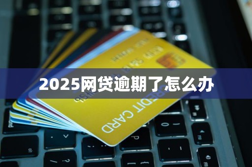 2025网贷逾期了怎么办