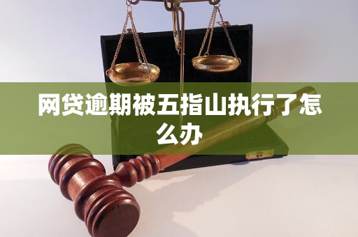 网贷逾期被五指山执行了怎么办