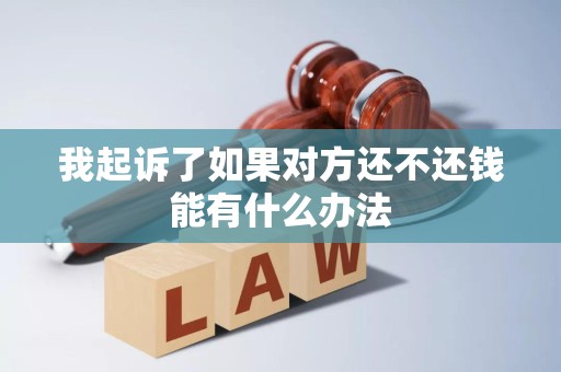我起诉了如果对方还不还钱能有什么办法