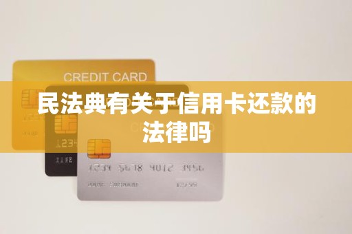 民法典有关于信用卡还款的法律吗