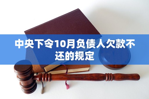 中央下令10月负债人欠款不还的规定