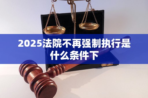 2025法院不再强制执行是什么条件下