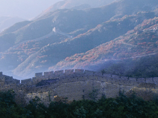 穗府办规〔2024〕4号  广州市人民政府办公厅关于进一步放宽商事主体住所经营场所条件的意见