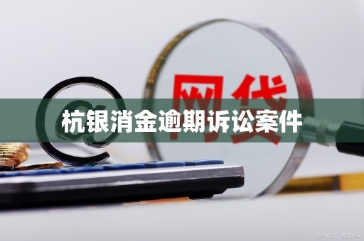 杭银消金逾期诉讼案件