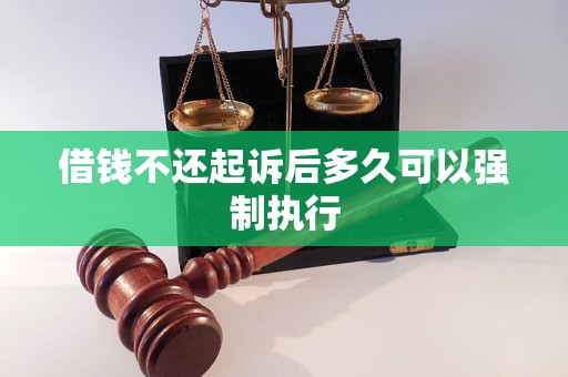 借钱不还起诉后多久可以强制执行