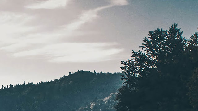 揭秘快速搞钱黑幕，违法手段你敢尝试吗？