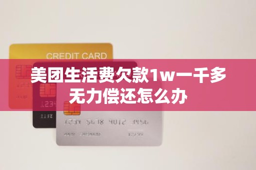 美团生活费欠款1w一千多无力偿还怎么办