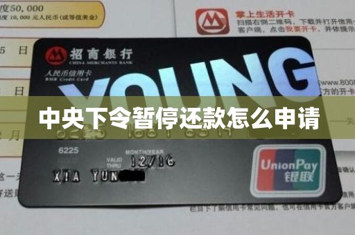 中央下令暂停还款怎么申请
