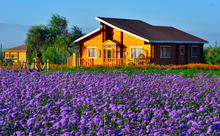 宁夏中卫金沙岛休闲度假区