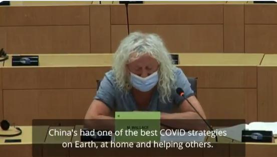 来源:欧洲议会议员米克·华莱士社交媒体截图。