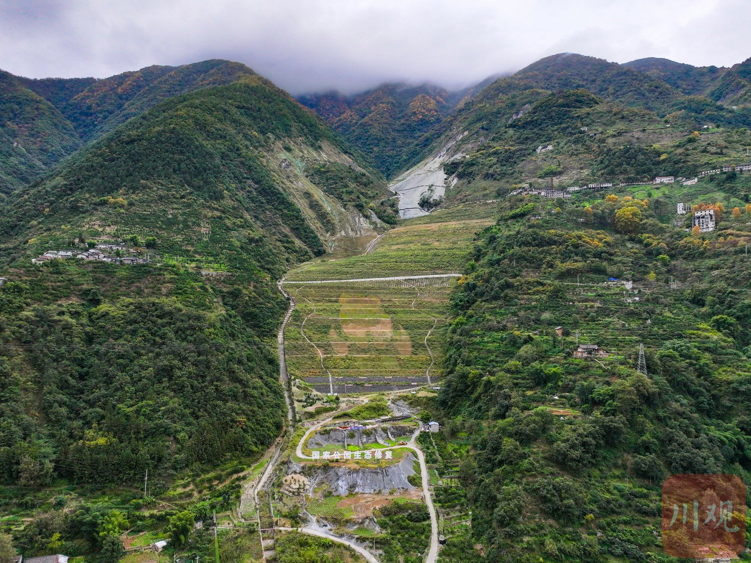 一只巨型的大熊猫在石棉的青山上。