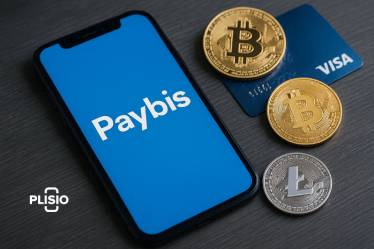 Paybis 2025：用户友好的加密货币买卖指南