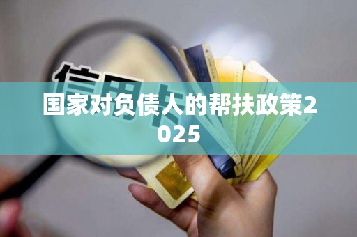 国家对负债人的帮扶政策2025
