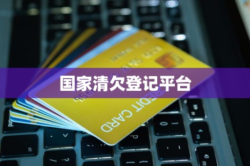 国家清欠登记平台