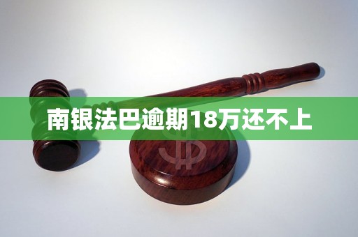 南银法巴逾期18万还不上