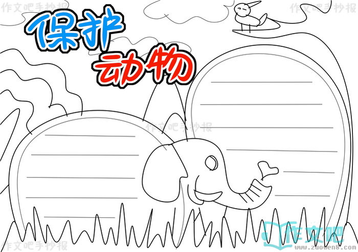 保护动物手抄报