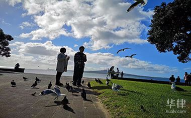 动物侵权答辩状如何写