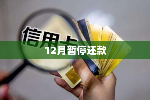 12月暂停还款