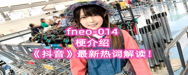 fneo-014梗介绍 《抖音》最新热词解读!