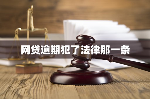 网贷逾期犯了法律那一条