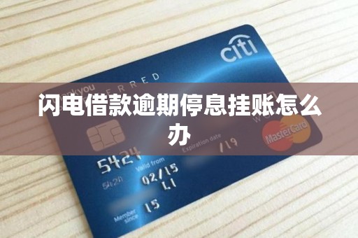 闪电借款逾期停息挂账怎么办