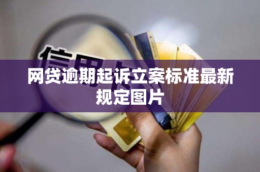 网贷逾期起诉立案标准最新规定图片